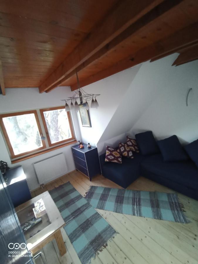 Tőckés Vendégház Pankasz Exterior foto
