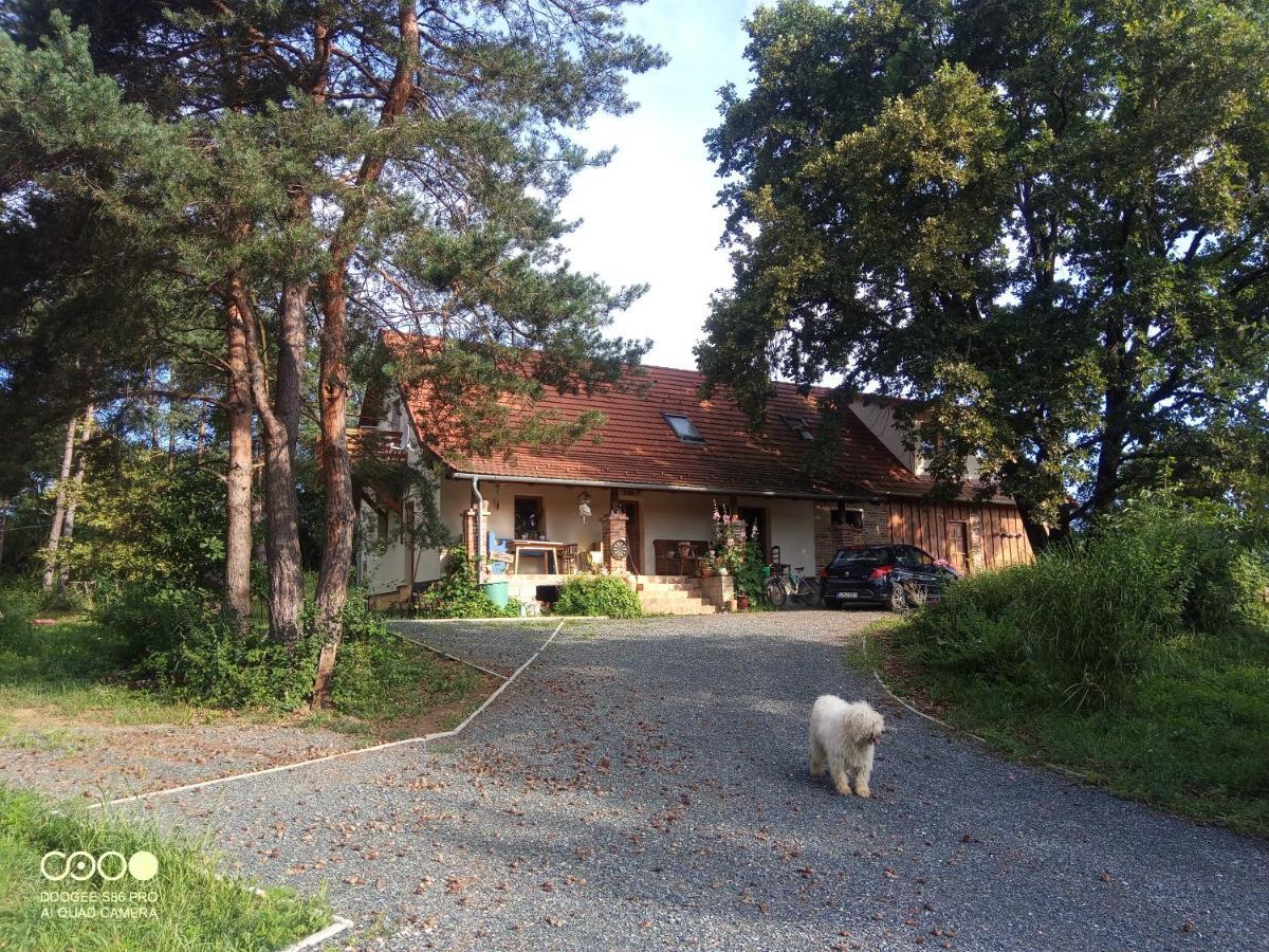 Tőckés Vendégház Pankasz Exterior foto